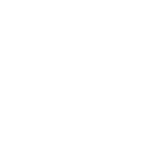 ALBA Palm Beach Logo